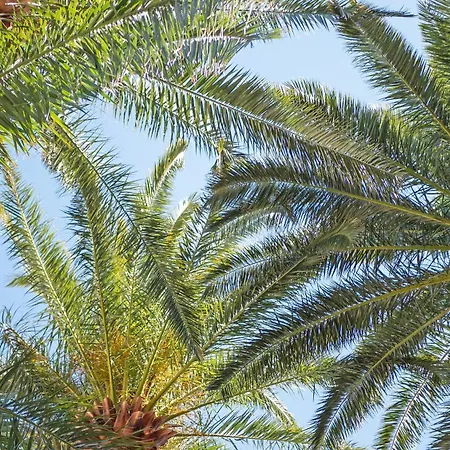 Les Tourelles Sainte-Maxime